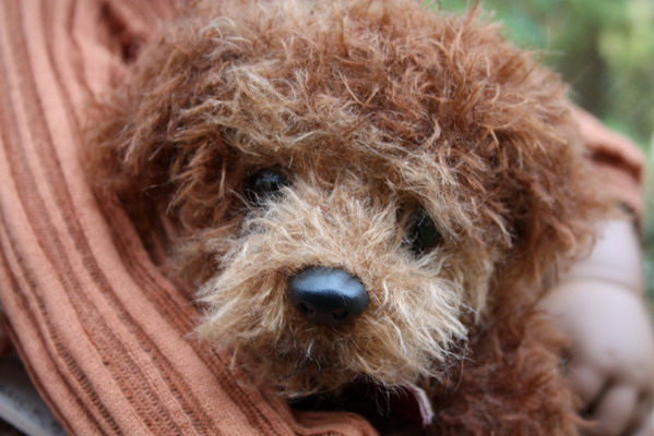 Leleti mit Julia und Luuk