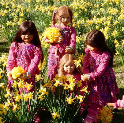 Kindra, Bellis, Jinka, Setina