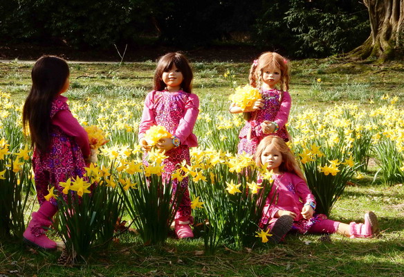 Setina, Kindra, Bellis, Jinka