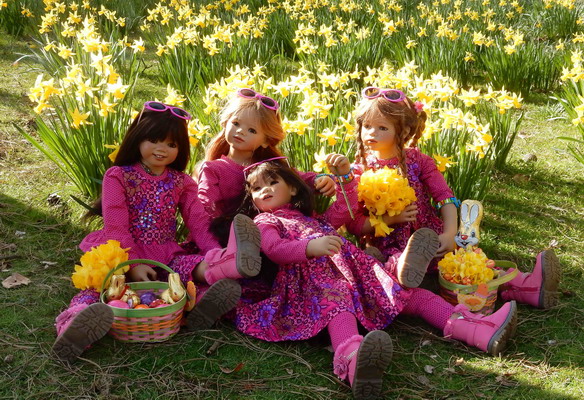 Kindra, Jinka. Bellis, Setina