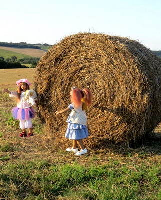 Liri, Silvi